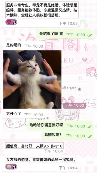 ✨ 毒龍不愧是絕活 ✨的封面