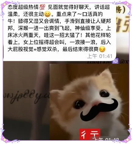 不追數量 只求品質的封面